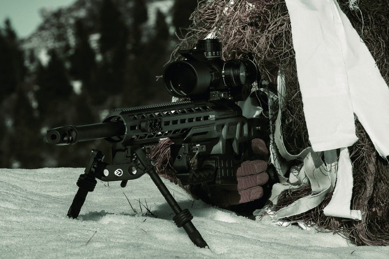 Victrix Gladio V